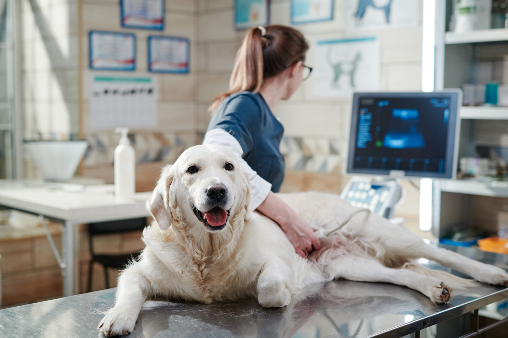 Appointments - Peaks to Prairie Animal Care